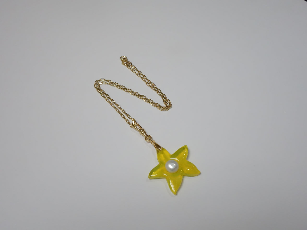 Star Charm Clasp Necklace