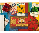Collage Parcel 3 - Market Treasures & Fruity Trinkets